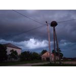 來自這款手機的圖片