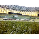 PICTURES FROM THIS PHONE