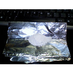 FOTO FATTE CON QUESTO TELEFONO