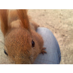 FOTO FATTE CON QUESTO TELEFONO