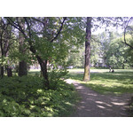 PICTURES FROM THIS PHONE