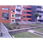 用戶照片 LG KP501