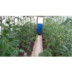 FOTO'S VAN DEZE TELEFOON