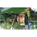 Imágenes de los usuarios LG L Fino