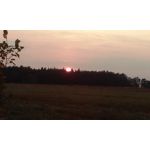 PICTURES FROM THIS PHONE