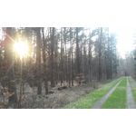 PICTURES FROM THIS PHONE