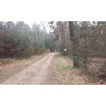 PICTURES FROM THIS PHONE