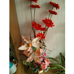 Фотографии пользователя LG Nexus 4 Фотографии пользователя LG Nexus 4