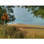 Фотографии пользователя LG Nexus 4 Фотографии пользователя LG Nexus 4