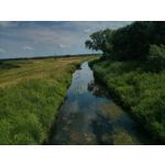 Фотографии пользователя LG Nexus 4 Фотографии пользователя LG Nexus 4