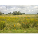 FOTO'S VAN DEZE TELEFOON