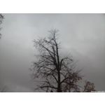 FOTO'S VAN DEZE TELEFOON