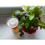 FOTO'S VAN DEZE TELEFOON