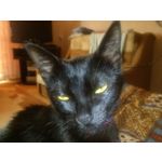 PICTURES FROM THIS PHONE