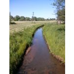 PICTURES FROM THIS PHONE