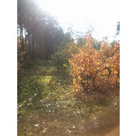 Foto's van de gebruikers LG Optimus L7