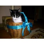 LAS FOTOS HECHAS CON ESTE TELÉFONO