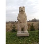 來自這款手機的圖片