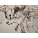 来自这款手机的图片