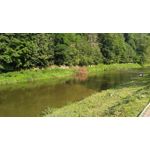 来自这款手机的图片