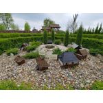 FOTOS AUS DIESEM HANDY