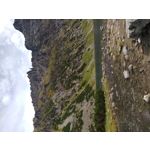 Foto's van de gebruikers LG X Mach