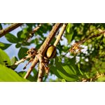 Foto's van de gebruikers LG X Mach