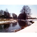 LAS FOTOS HECHAS CON ESTE TELÉFONO