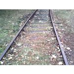PHOTOS FAITES AVEC CE SMARTPHONE