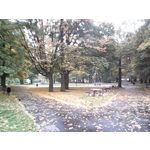 PHOTOS FAITES AVEC CE SMARTPHONE