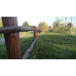 Imágenes de los usuarios MaxCom MS505