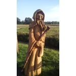 Imágenes de los usuarios MaxCom MS505