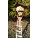 Imágenes de los usuarios MaxCom MS505