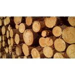 Imágenes de los usuarios MaxCom MS505