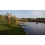 Imágenes de los usuarios MaxCom MS505