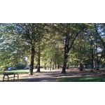 Imágenes de los usuarios MaxCom MS505