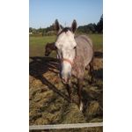 Imágenes de los usuarios MaxCom MS505