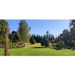 Pictures by this phone Meizu 16s