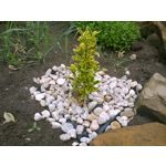 ФОТКИ СНЯТЫЕ ДАННЫМ МОБИЛЬНИКОМ