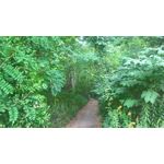 LAS FOTOS HECHAS CON ESTE TELÉFONO