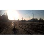 来自这款手机的图片