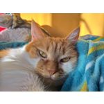 ФОТКИ СНЯТЫЕ ДАННЫМ МОБИЛЬНИКОМ