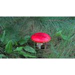 ФОТКИ СНЯТЫЕ ДАННЫМ МОБИЛЬНИКОМ