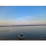 PICTURES FROM THIS PHONE