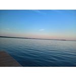 PICTURES FROM THIS PHONE