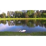 用戶照片 Microsoft Lumia 950 XL Dual SIM