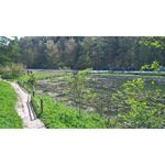 用戶照片 Microsoft Lumia 950 XL Dual SIM