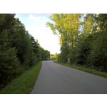 PICTURES FROM THIS PHONE