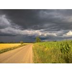 PICTURES FROM THIS PHONE