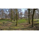 用戶照片 Microsoft Lumia 950 XL Dual SIM